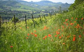 Agriturismo Oinoe