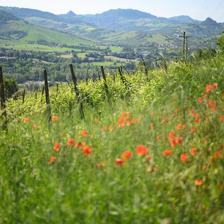 Agriturismo Oinoe Traversetolo Buitenkant foto